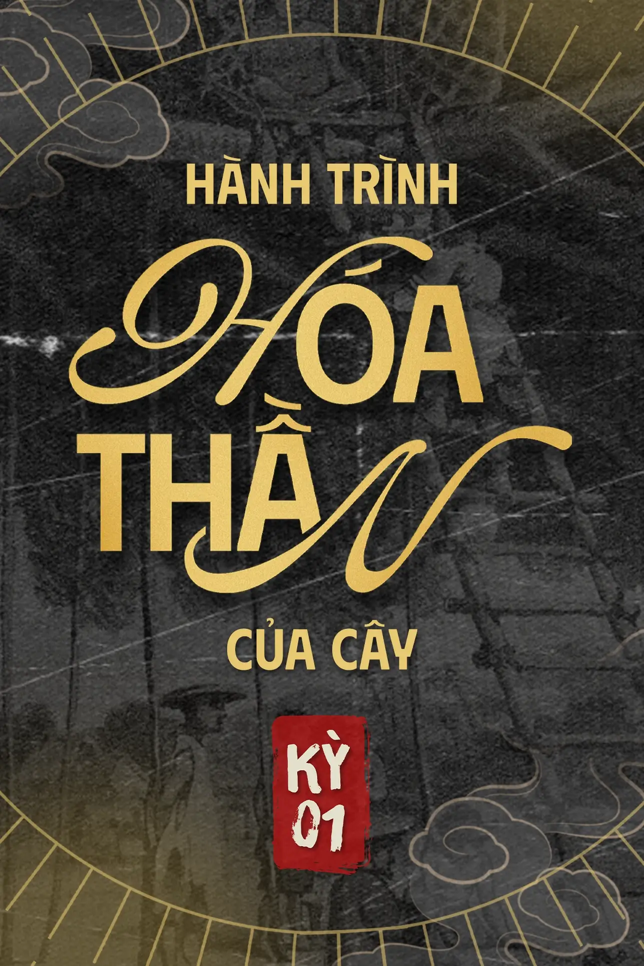 cay-hoa-than-cover.webp