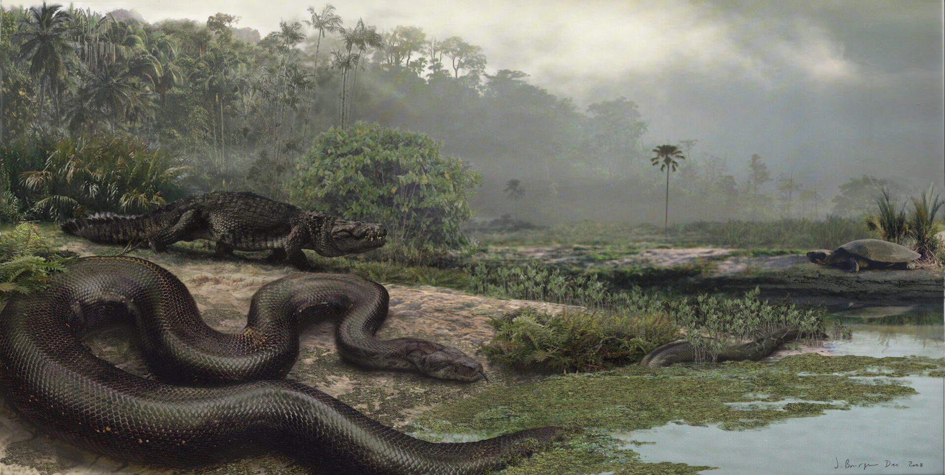 Mãng xà đại đế Titanoboa: Loài rắn khổng lồ đáng sợ nhất
