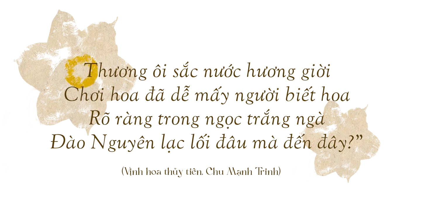 hoa thủy tiên ngày tết