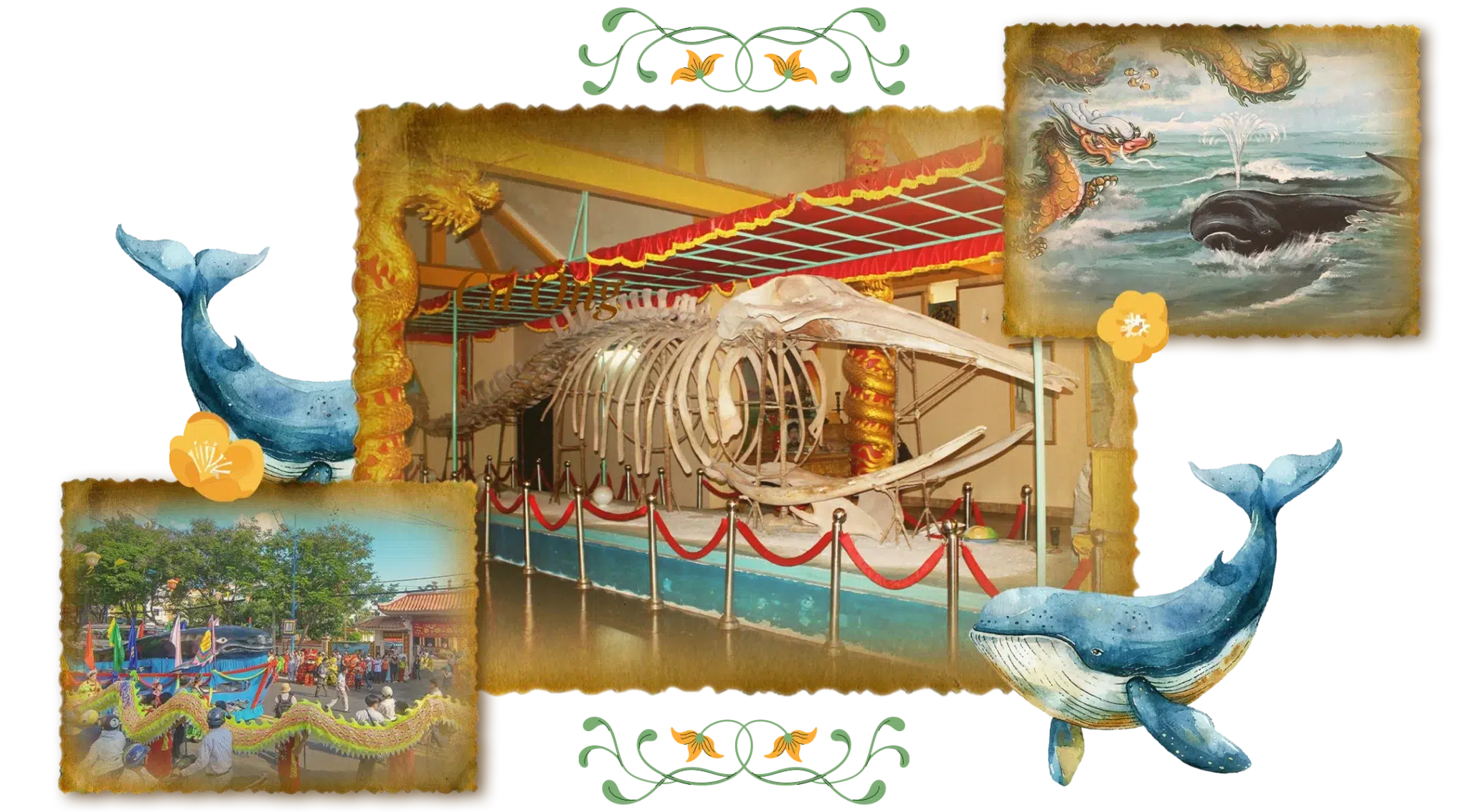 HoaCaiMaiToc